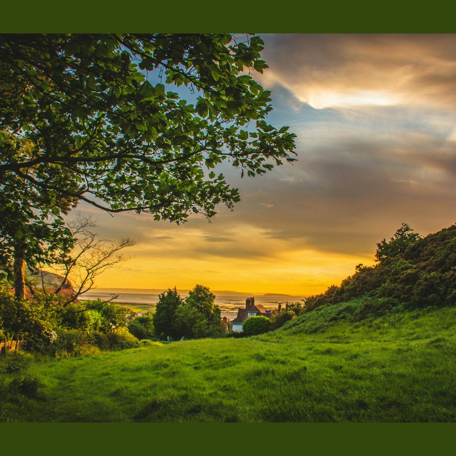 Countryside sunset with trees and fields
