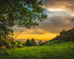 Countryside sunset with trees and fields