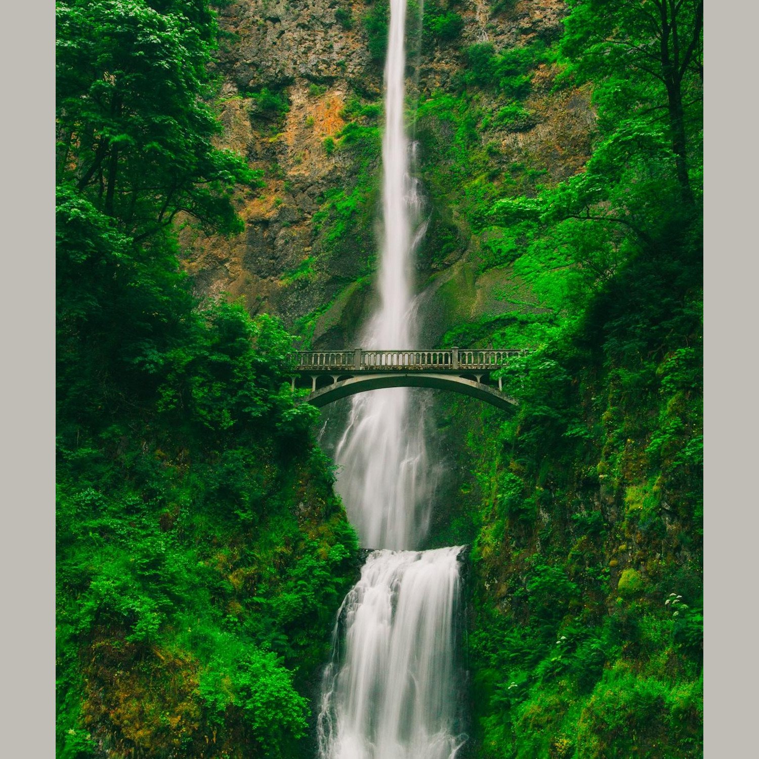 Tall waterfall and bridge in green forest