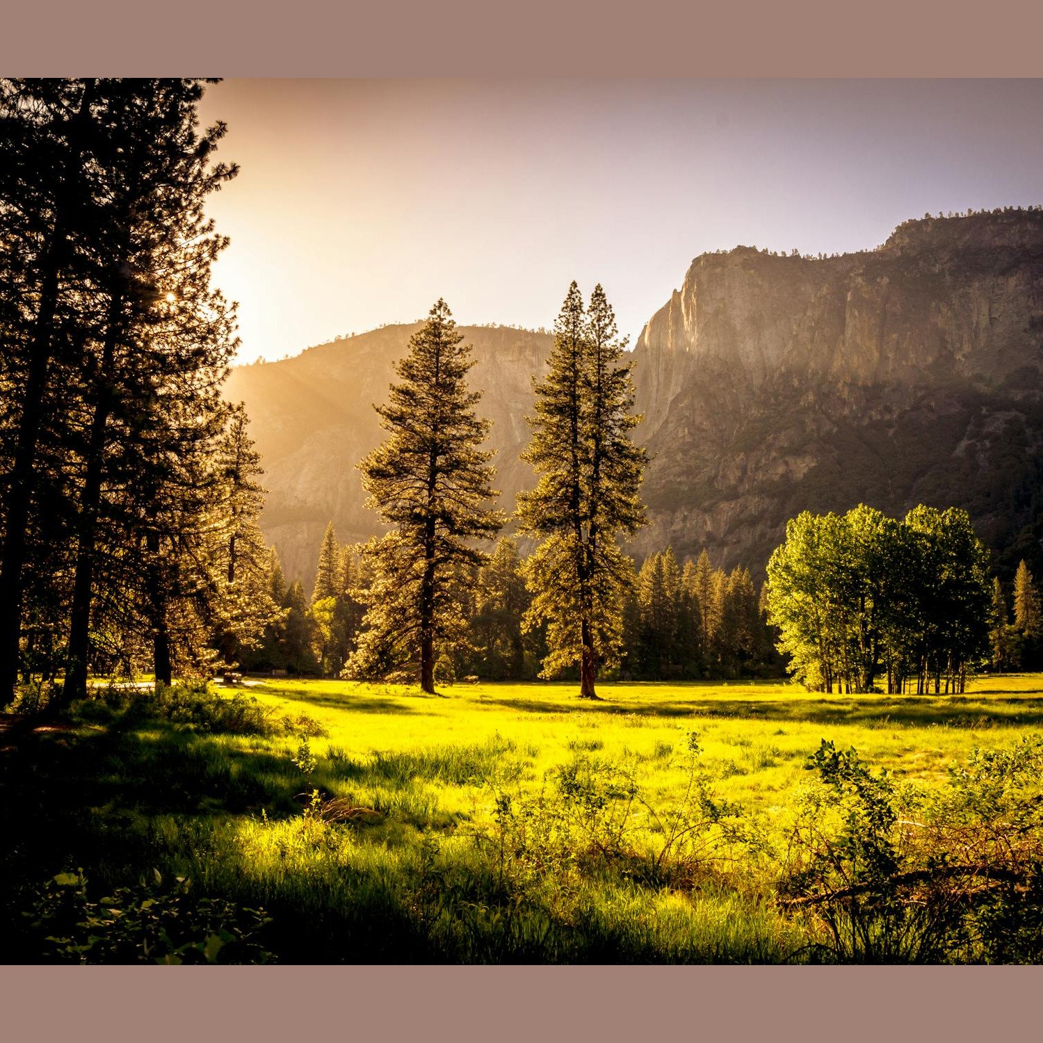 Sunlit meadow with forest and mountains